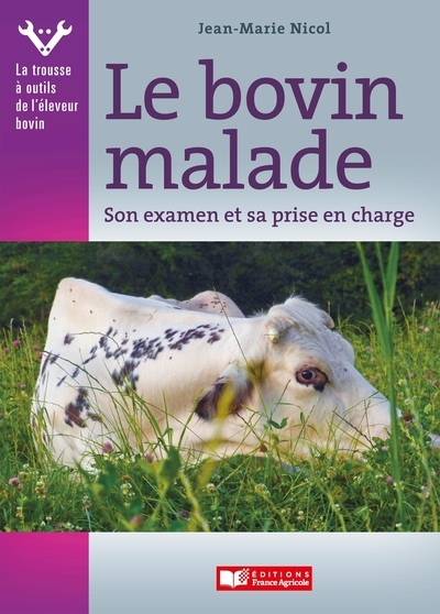 Le bovin malade - Image principale