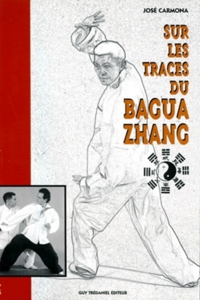 Sur les traces du bagua zhang - Image principale