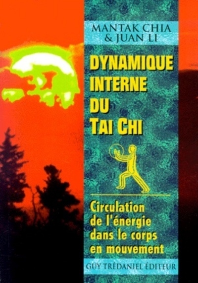 Dynamique interne du tai chi - Image principale