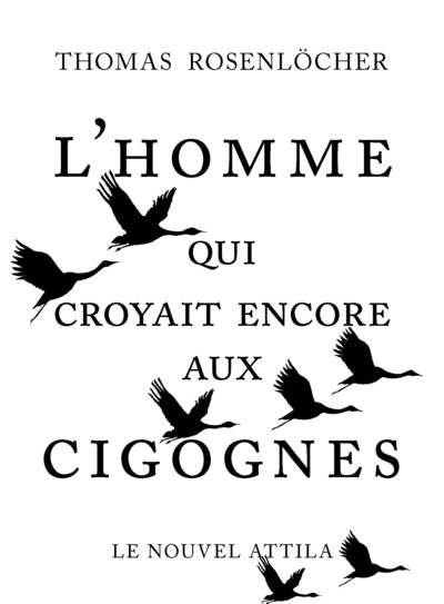 L'homme qui croyait encore aux cigognes - Image principale