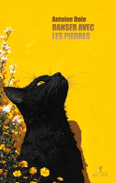 Danser avec les pierres - Image principale