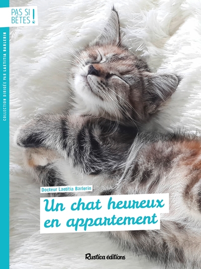 Un chat heureux en appartement - Image principale
