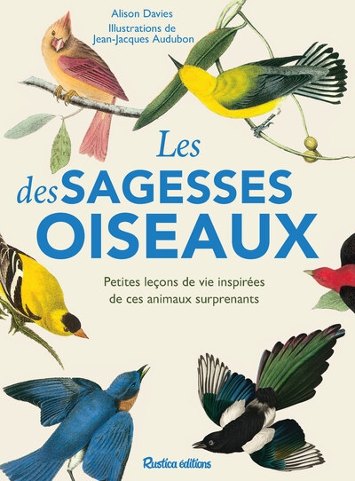 Les sagesses des oiseaux - Image principale