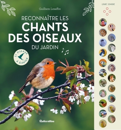 Reconnaître les chants des oiseaux du jardin - Image principale