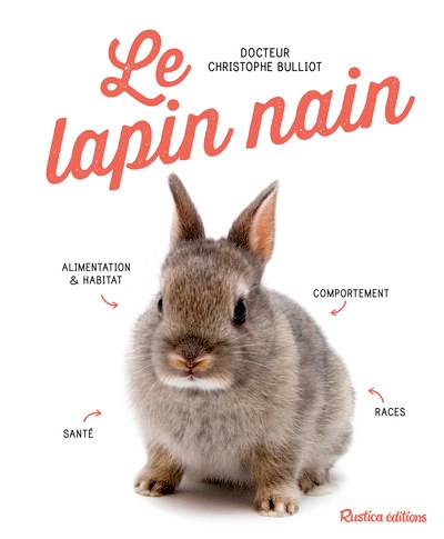 Le lapin nain - Image principale