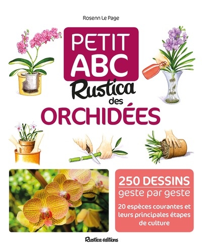 Petit abc rustica des orchidées - Image principale