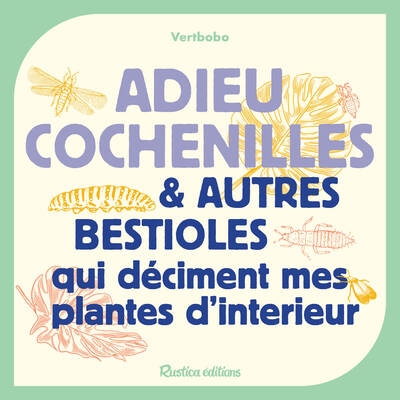Adieu cochenilles et autres bestioles qui déciment mes plantes d'intérieur - Image principale