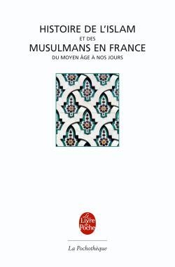 Histoire de l'islam et des musulmans en france - Image principale
