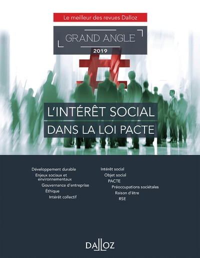 L'intérêt social dans la loi pacte - grand angle 2019 - Image principale