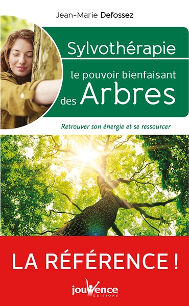 Sylvothérapie : le pouvoir bienfaisant des arbres - Image principale