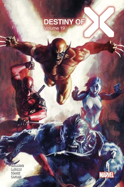 Destiny of x t19 (edition collector) - compte ferme - Image principale