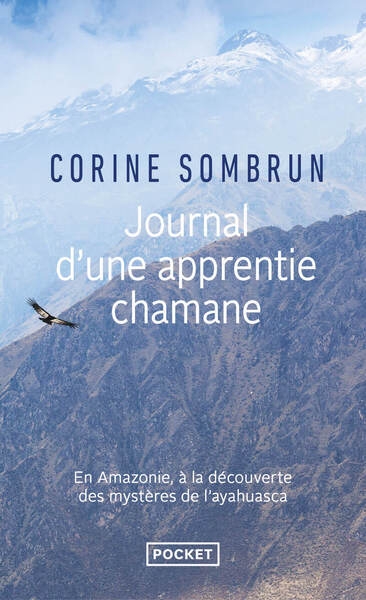 Journal d'une apprentie chamane - Image principale