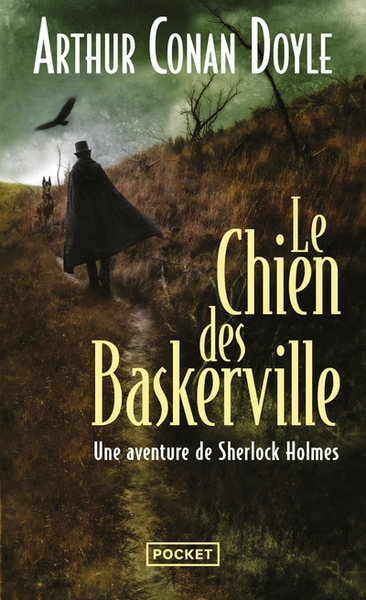 Le chien des baskerville - Image principale