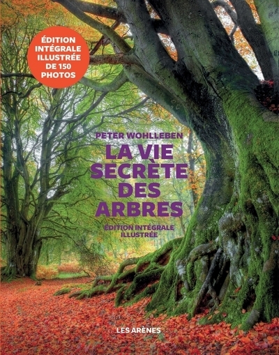 La vie secrète des arbres - edition illustrée - Image principale