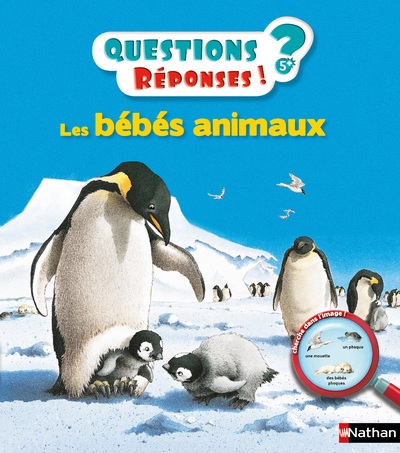 Les bébés animaux - Image principale