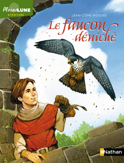 Le faucon déniché - Image principale