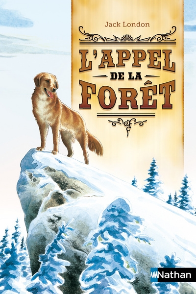 L'appel de la forêt - Image principale