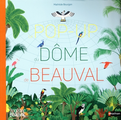 Le pop-up du dôme de beauval - Image principale