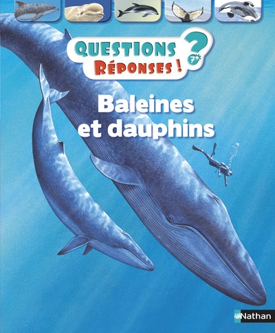 Baleines et dauphins - Image principale