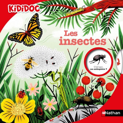 Les insectes - Image principale