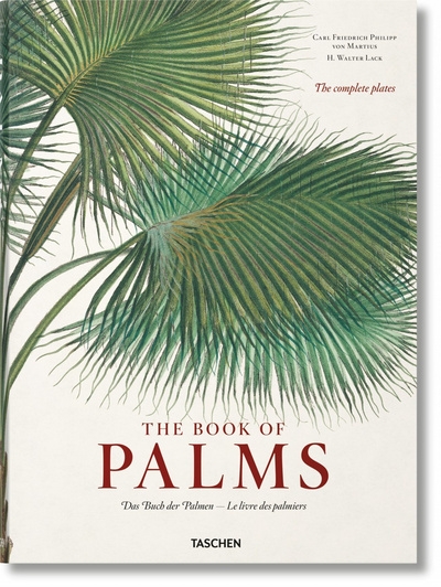 Martius. the book of palms - Image principale