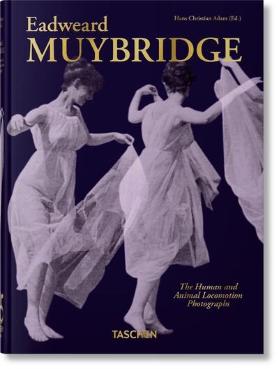 Muybridge - Image principale