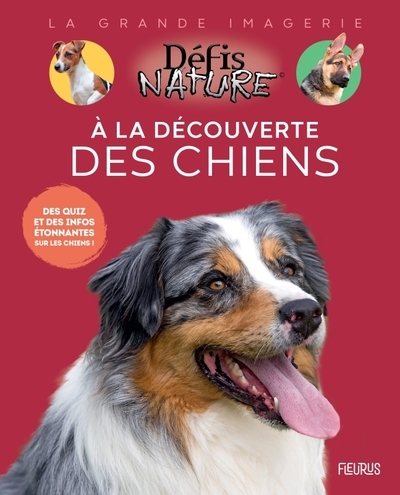 À la découverte des chiens - Image principale