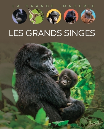 Les grands singes - Image principale