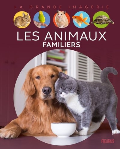 Les animaux familiers - Image principale