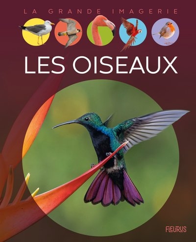Les oiseaux - Image principale