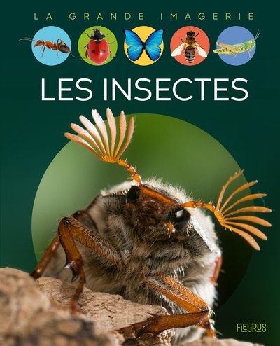 Les insectes - Image principale