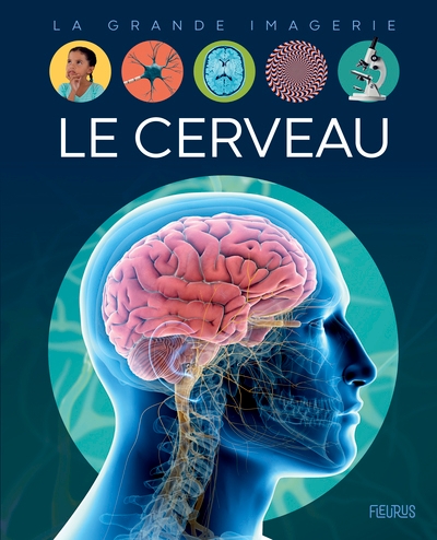Le cerveau - Image principale
