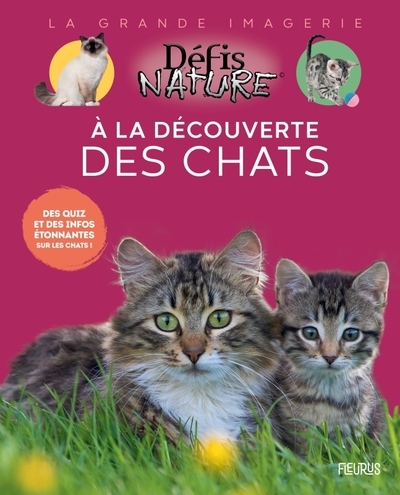 À la découverte des chats - Image principale