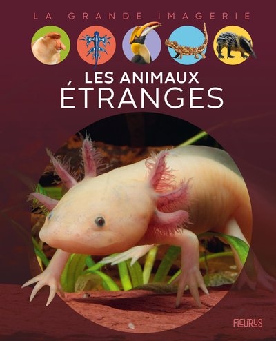 Les animaux étranges - Image principale