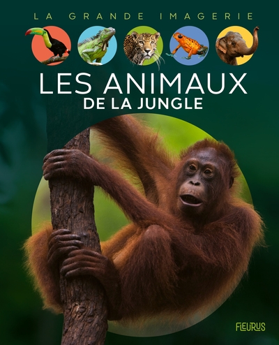 Les animaux de la jungle - Image principale
