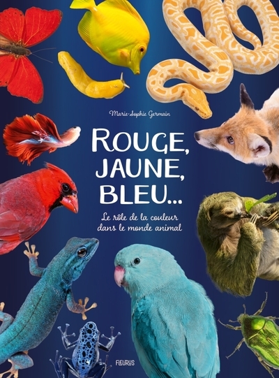 Rouge, jaune, bleu... - Image principale
