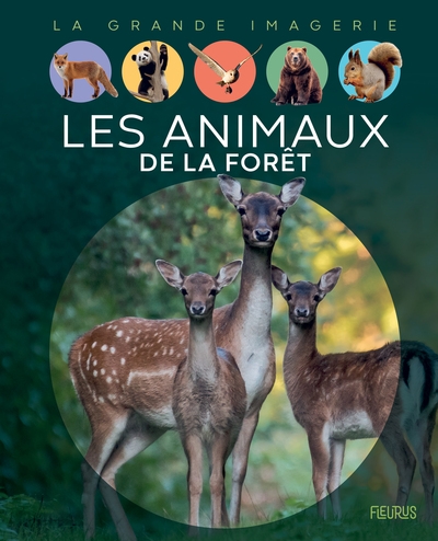 Les animaux de la forêt - Image principale