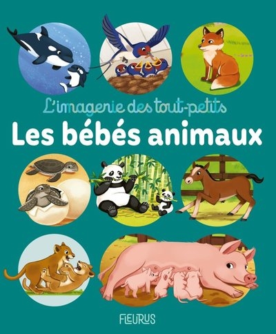 Les bébés animaux - Image principale