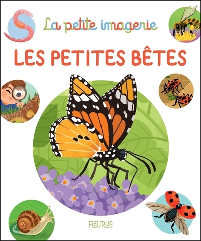Les petites bêtes - Image principale