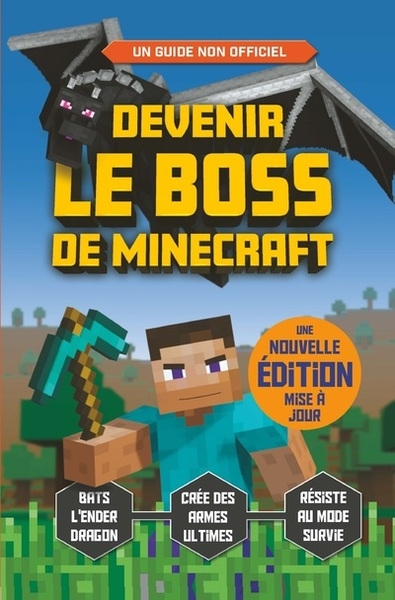 Devenir le boss de minecraft - Image principale