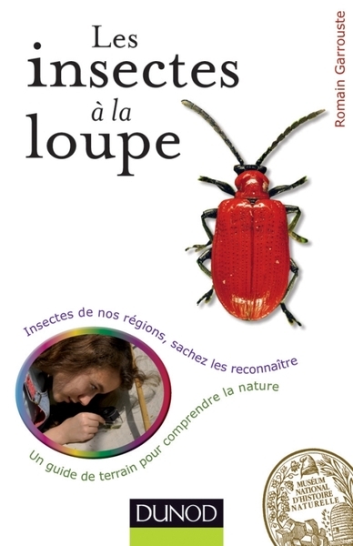 Les insectes à la loupe - Image principale