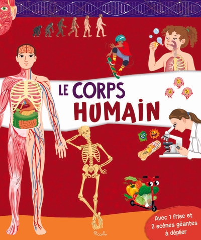 Le corps humain - Image principale