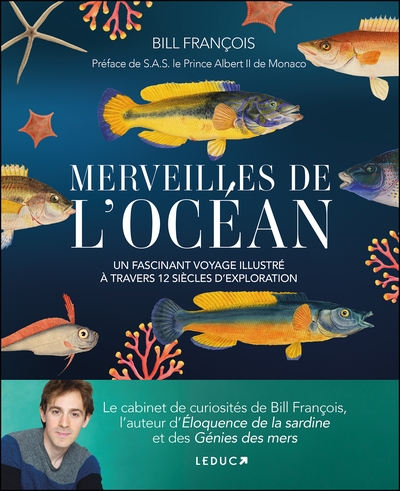 Merveilles de l'océan - Image principale