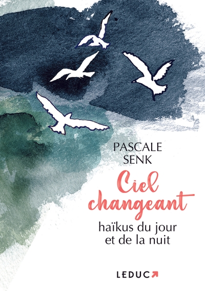 Ciel changeant - Image principale