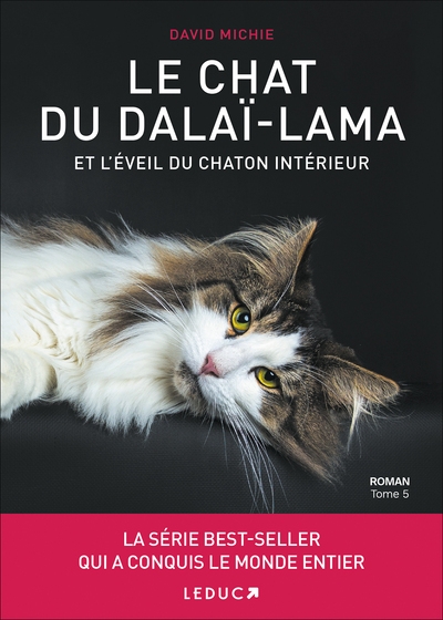 Le chat du dalai-lama et l'éveil du chaton intérieur (tome 5) - Image principale