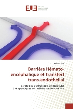 Barrière hémato-encéphalique et transfert trans-endothélial - Image principale