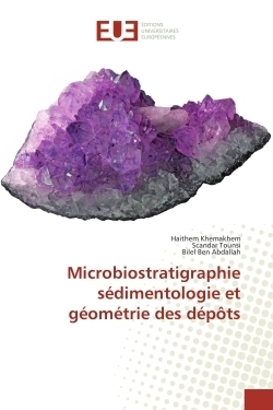 Microbiostratigraphie sédimentologie et géométrie des dépôts - Image principale
