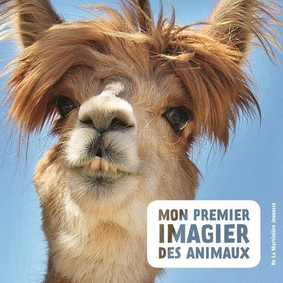 Mon premier imagier des animaux - Image principale