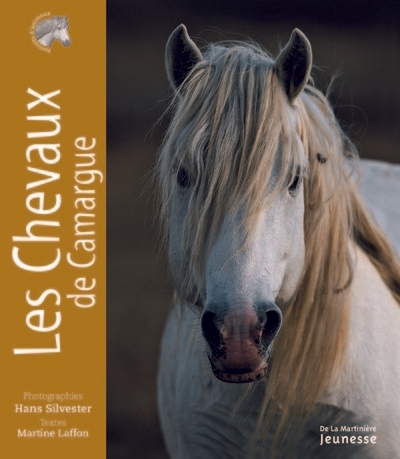 Les chevaux de camargue - Image principale