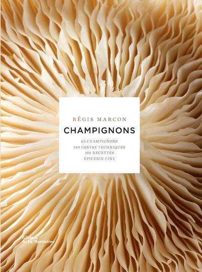 Champignons - Image principale